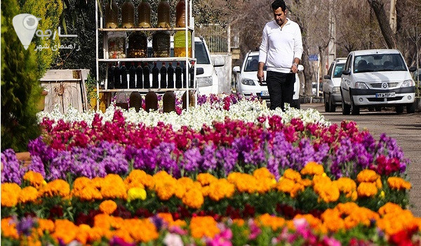 گلخانه قصرالدشت شیراز