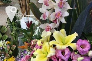 گل فروشی فرهنگ شهر شیراز