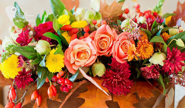 گل فروشی در شیراز گل آفریقا شیراز گل ایده شیراز سبد گل خواستگاری شیراز