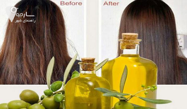درمان ریزش مو با روغن زیتون بسیار تاثیر گذار و راحت میباشد.