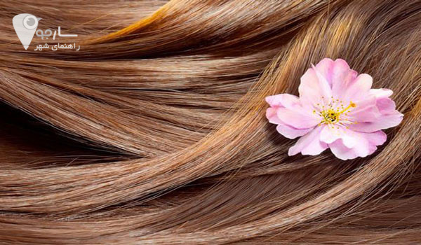 درمان ریزش با با دارو های گیاهی ساده ترین راه برای حفظ موهایتان است.